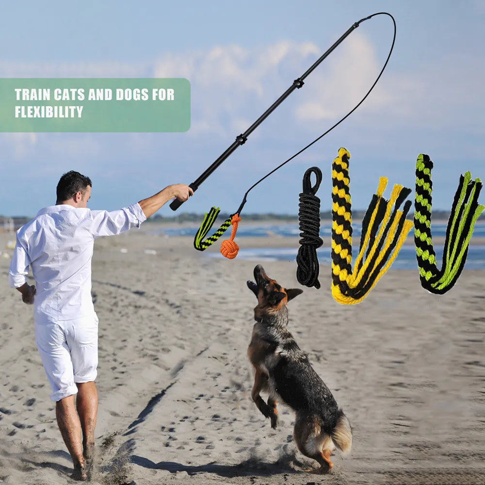 Dog Fishing Rod Non Slip Fun Extendable Aluminum Alloy Portable Interactive  Toy Training Equipment Outdoor Blue : : Pet Supplies